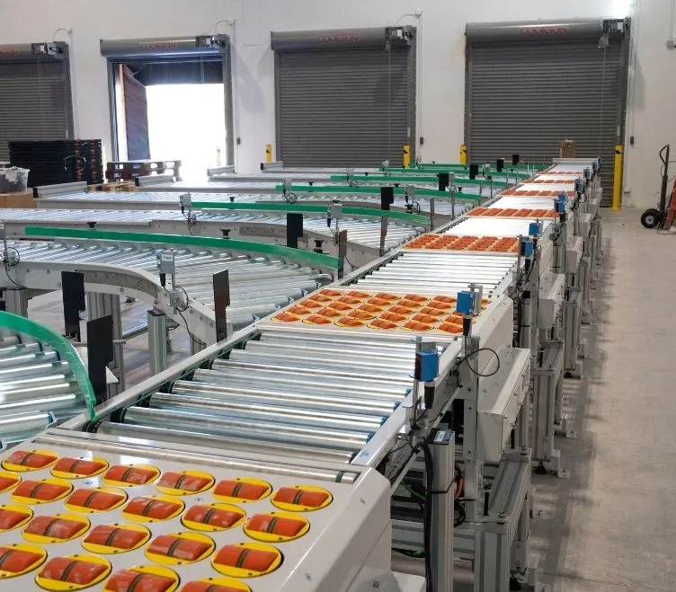 Sorter Systems, Types of Sorter Systems, Advantages of Sorter Systems, Pop-up Roller Sor, Narrow-Belt Sorter, Wheel Diverter Sorter, Roller Top Sorter, Sliding Shoe Sorter, Tray Sorters, Cross-Belt Sorters